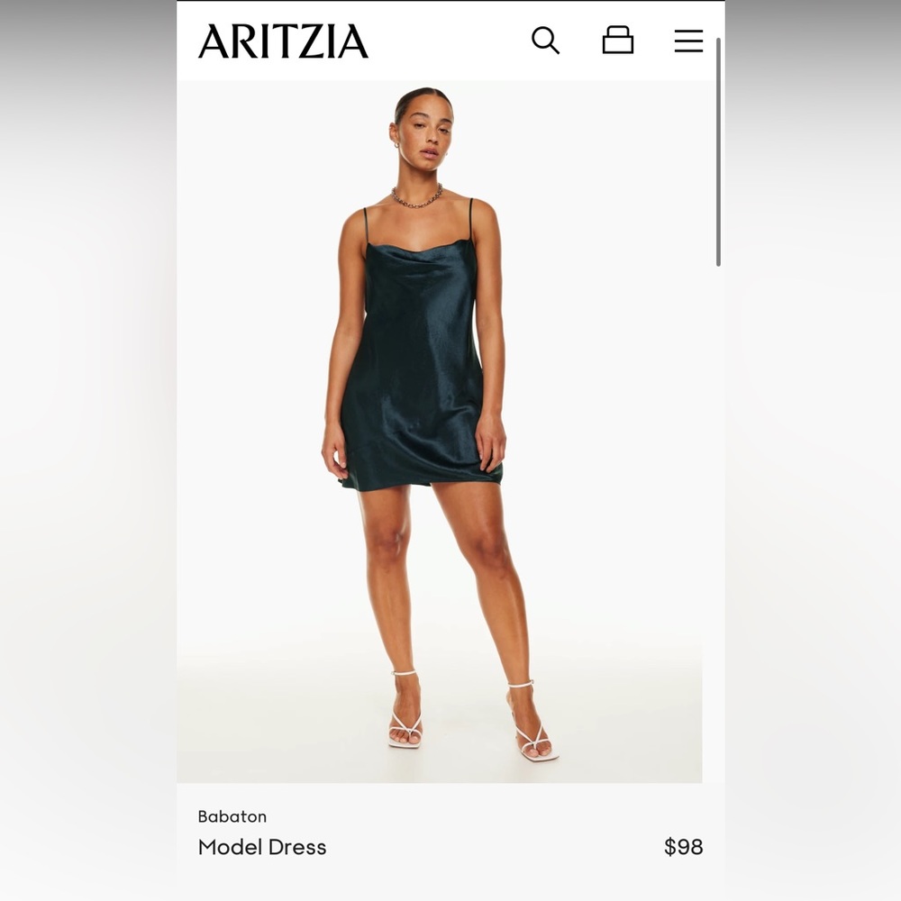 NWT Aritzia Model Dress